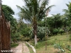 Hotel Koh Tao Cabana 7